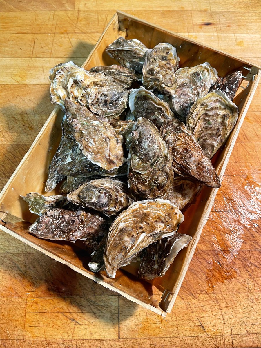 🦪 HUÎTRES
🌊
Recién llegadas de Normandie 🇫🇷

Aún queda un mes para seguir disfrutándolas 👏🏻

Las próximas serán de Arcachon o …

¿Alguien propone un vino? 😉

—

#Oysters #Huîtres #Ostras
#ElsGolafres #LosGlotones