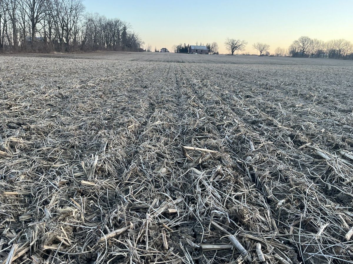 🚜💨 #plant24 has been initiated! Couldn’t pass up these beauty conditions to seed some @SeCan Reid oats! Never planted in Feb before! 🍻 to a safe and prosperous season! #ontag #JohnDeere