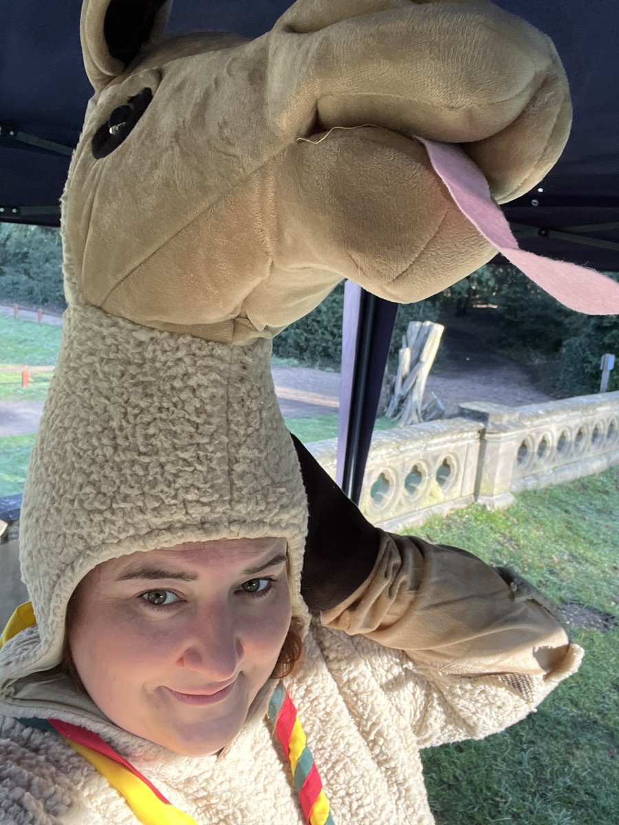 It’s a llama drama Saturday 🦙