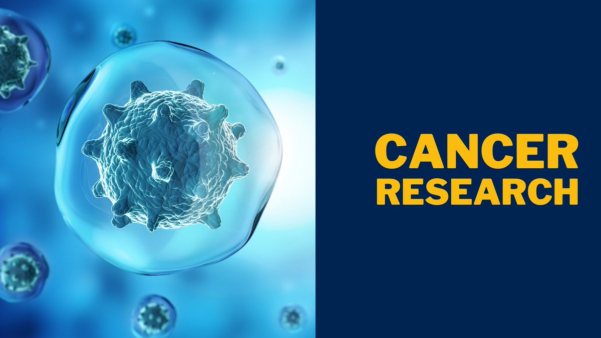 Queen's Health Sciences (@queensuhealth) on Twitter photo A new <a href="/queensuResearch/">Research@Queen's University</a> study led by <a href="/alyson_mahar/">Alyson Mahar</a> of @QueensCRI & <a href="/QueensuHQ/">Queen's Health Quality Programs</a> examines cancer survival for patients with intellectual or developmental disabilities: wb.md/42OLUq6 A new <a href="/queensuResearch/">Research@Queen's University</a> study led by <a href="/alyson_mahar/">Alyson Mahar</a> of @QueensCRI & <a href="/QueensuHQ/">Queen's Health Quality Programs</a> examines cancer survival for patients with intellectual or developmental disabilities: wb.md/42OLUq6