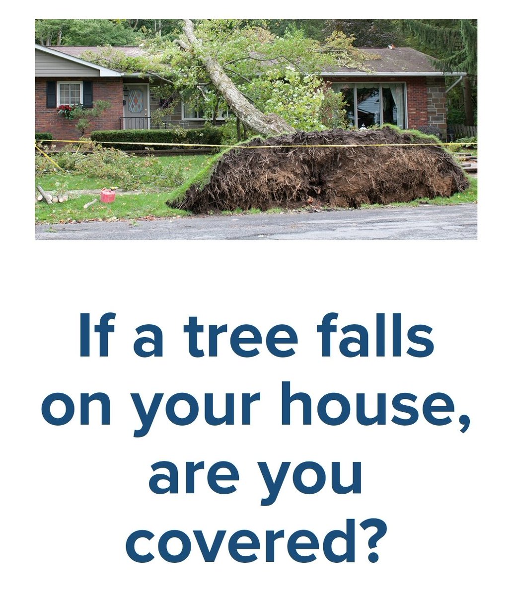 coryinsuresnova's tweet photo. If a tree falls on your house, are you covered?

https://t.co/3es2CDCmeL https://t.co/Xo20xkPRzp