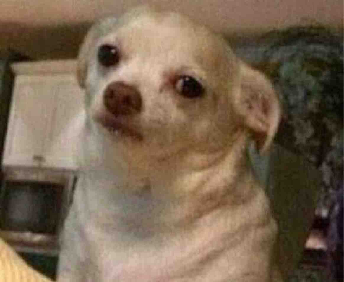 Guarromantico_'s tweet image. “Oh si! Por fin un día libre, me despertaré súper tarde 🤩”

*Se despierta a las 7am sin alarma*