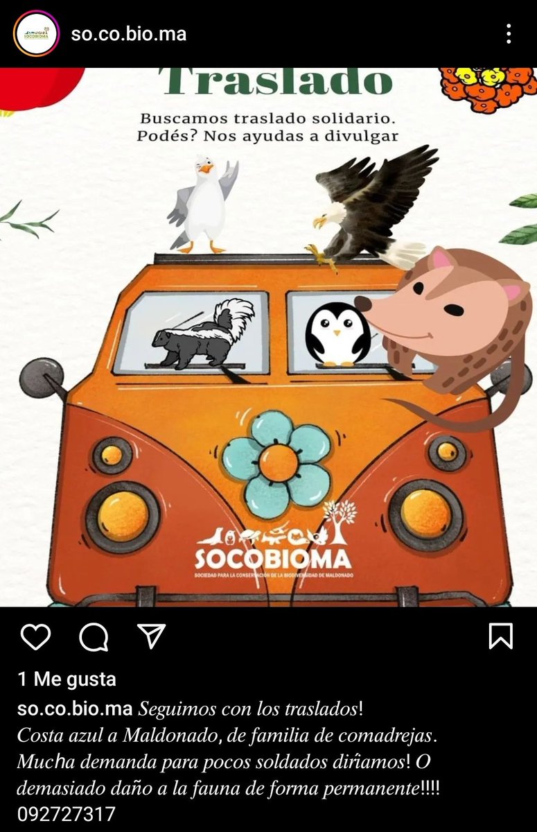 Familia de comadrejas 🥰 necesita traslado solidario desde Costa Azul hacia Maldonado.
Socobioma 📱 092 727 317