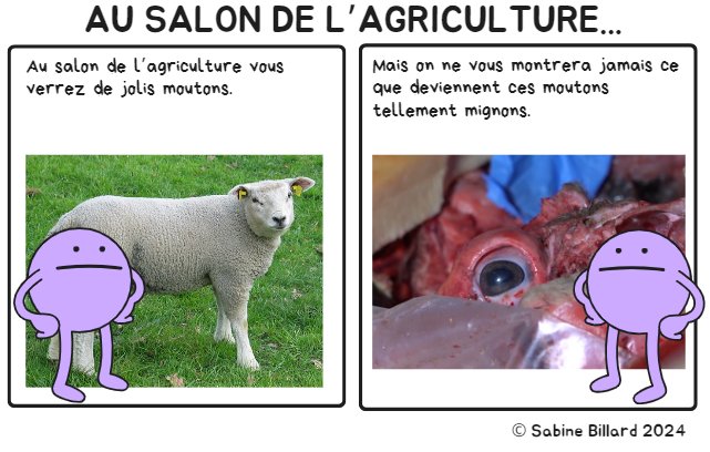 Vous ne verrez pas ça au #SalonDeLAgriculture
#SIA2024 #AgriTorture #CeuxQuiFontLaViande