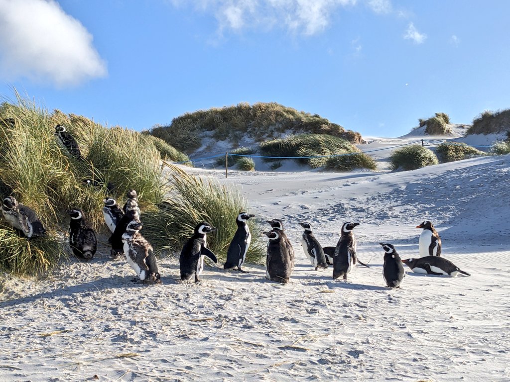 Becky Clark tweet media