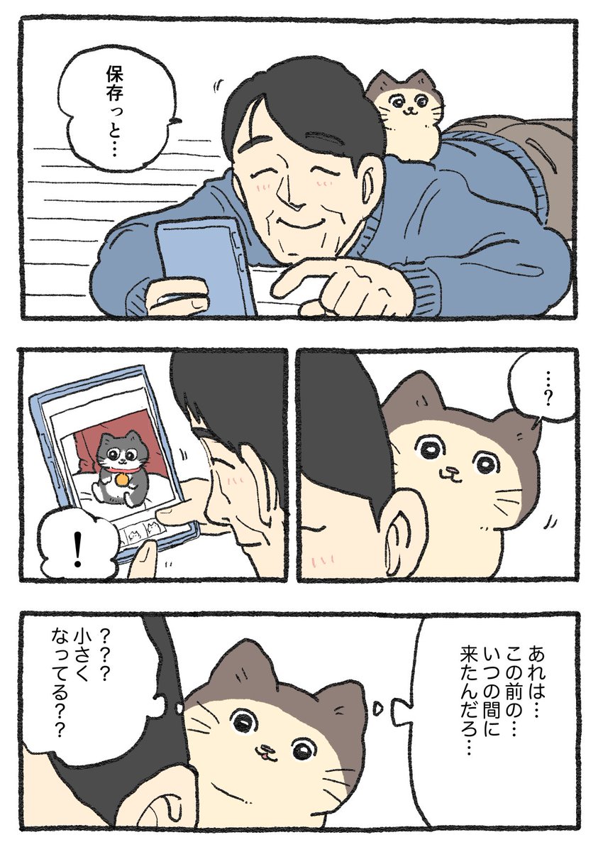 ねこおじ様 ねこに転生したおじさん。その949
