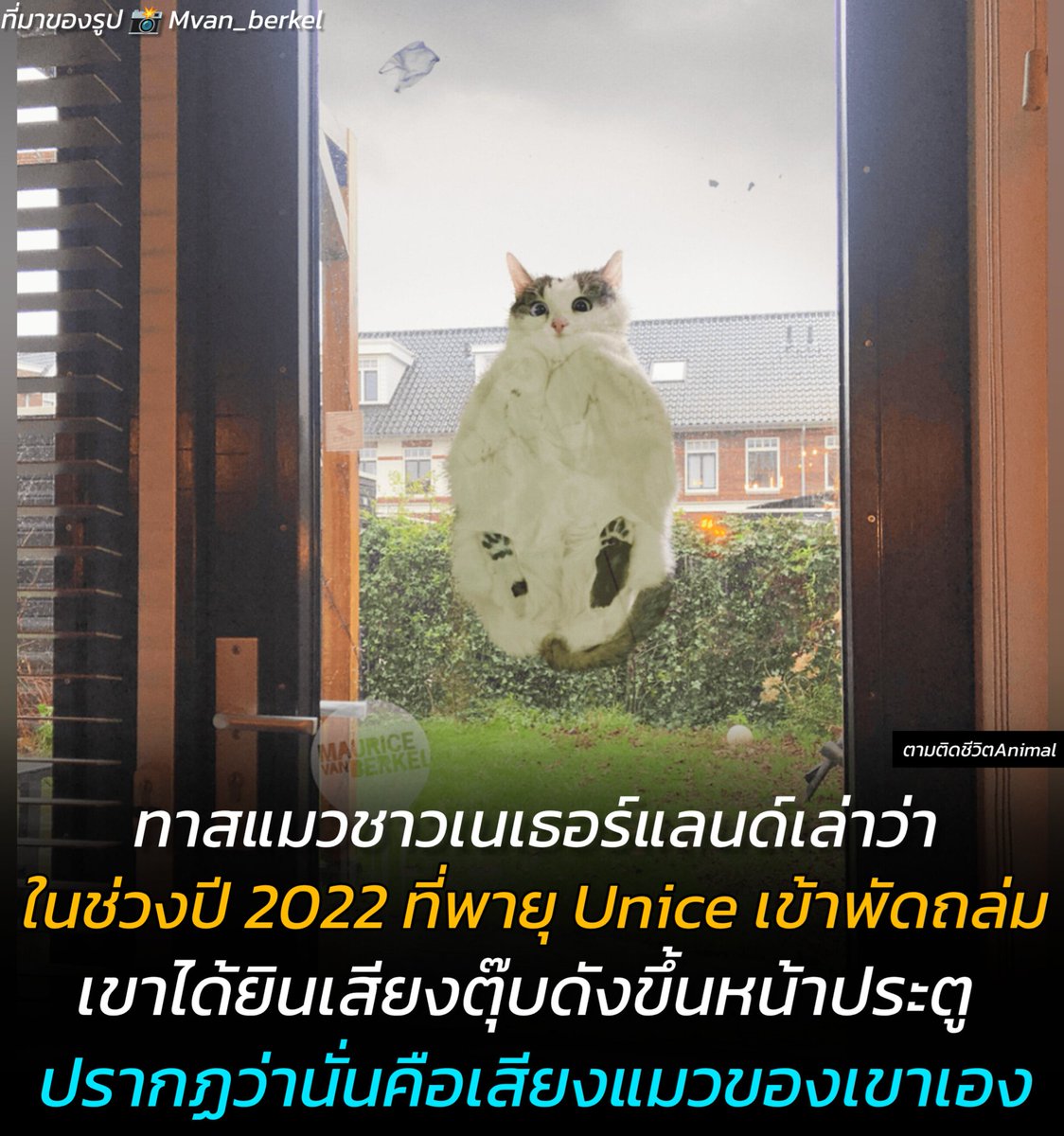 ตามติดชีวิตAnimal tweet media