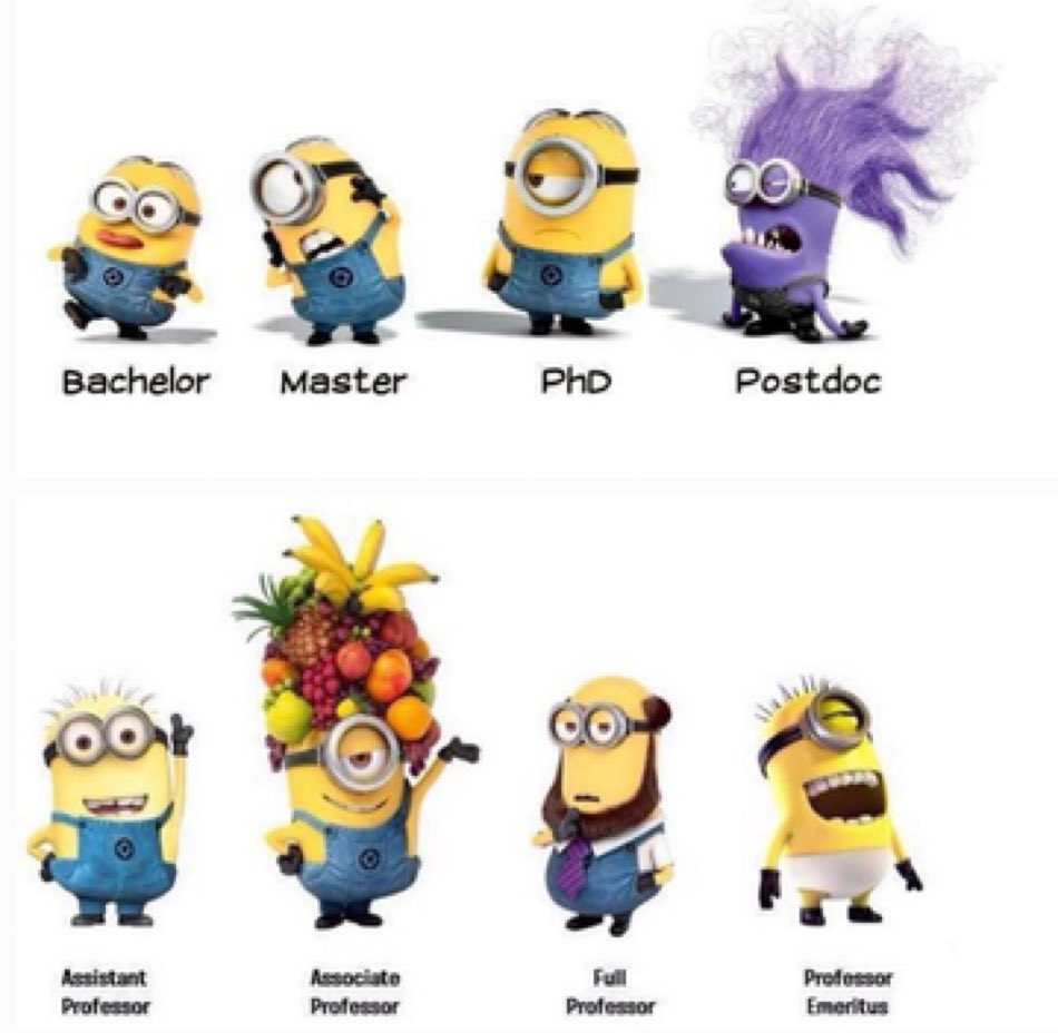 Aloysius Loglo, PhD tweet media