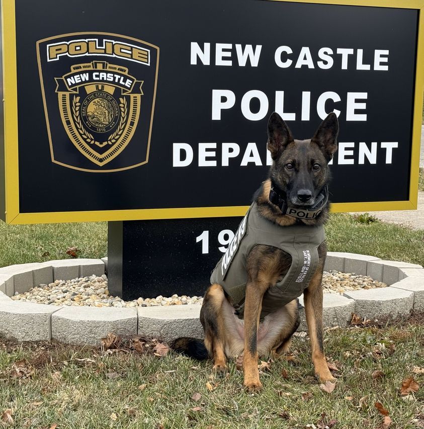 VIK9s's tweet photo. Today, let's celebrate our pets and honor K9 heroes, vital allies to officers.Behind each hero is unwavering dedication. Support our cause, share, or donate at https://t.co/AddqGVfbFP to provide deserving K9s like Awper with protective vests! #vestedinterestink9s #vik9s https://t.co/xqwksqZ6PU