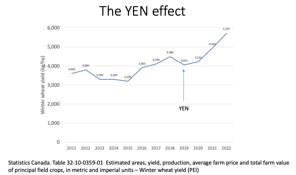 Correlation is not causation, but PEI has had incredible wheat yields since they started the YEN there. Always knew their climate should Grow Great Wheat! @GreatLakesYEN @JoFollings @pennin34