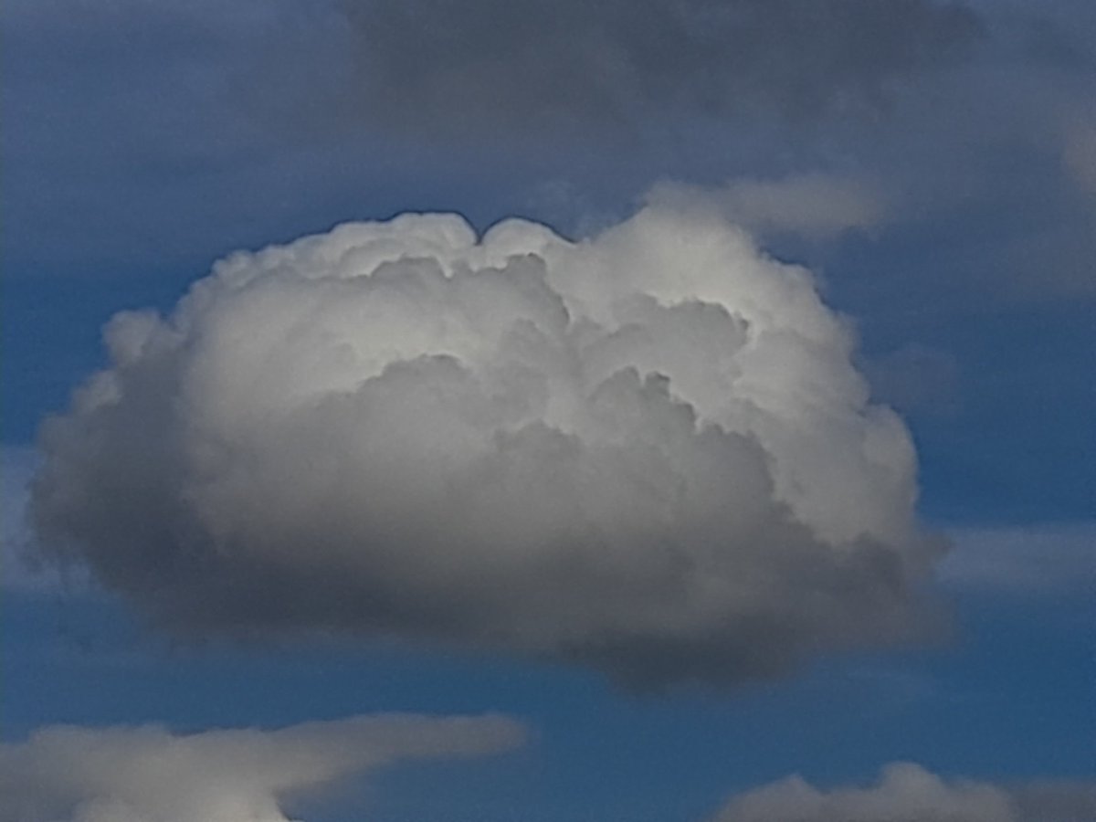 QuercusLg's tweet photo. #puffyCloud https://t.co/BusjDXL4si