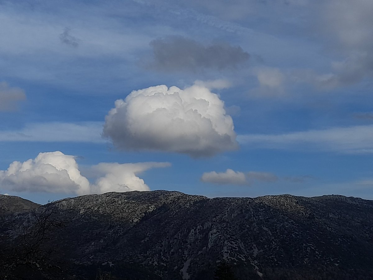 QuercusLg's tweet photo. #puffyCloud https://t.co/BusjDXL4si