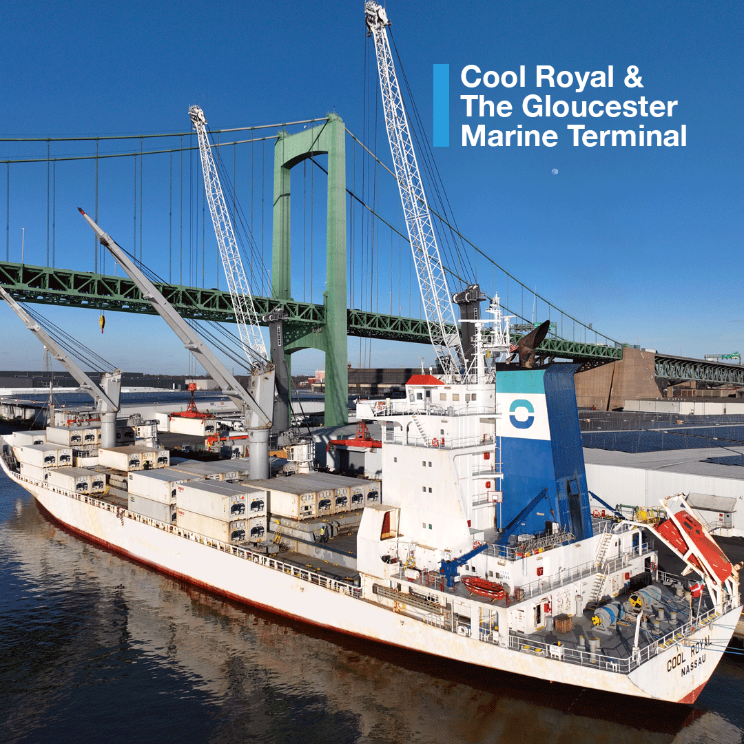 Coolcarriescl's tweet photo. Cool Royal EC080 discharging 5082 pallets + 110 containers at Gloucester Marine Terminal. Pictures from Holt Logistics https://t.co/8gLdgUd5p2