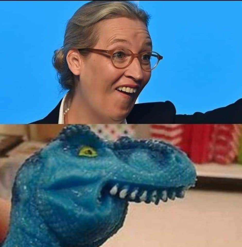 DrunkenMasterLP's tweet photo. @Alice_Weidel Deshalb niemals AFD https://t.co/ffvj6A72aM