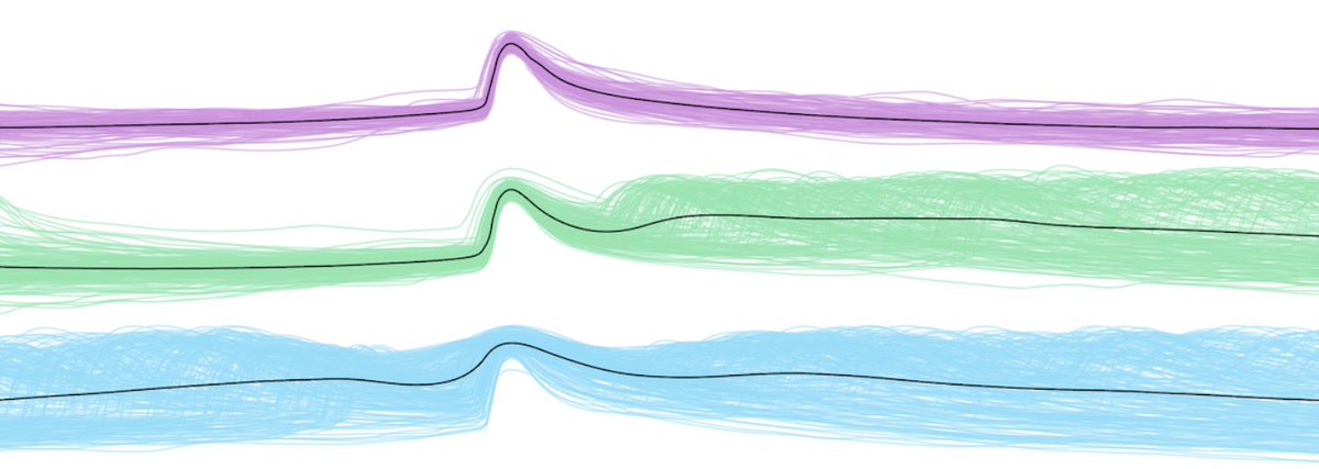 Spencer LaVere Smith tweet media