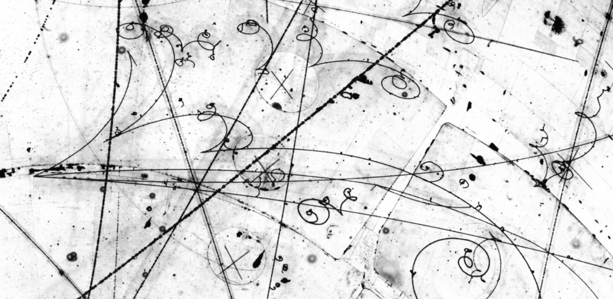 Spencer LaVere Smith tweet media