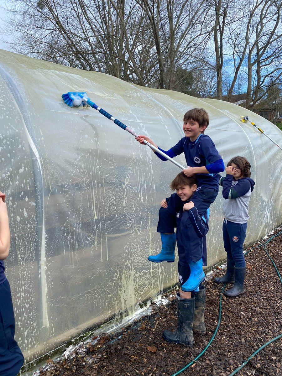 Bedales Prep ODW tweet media