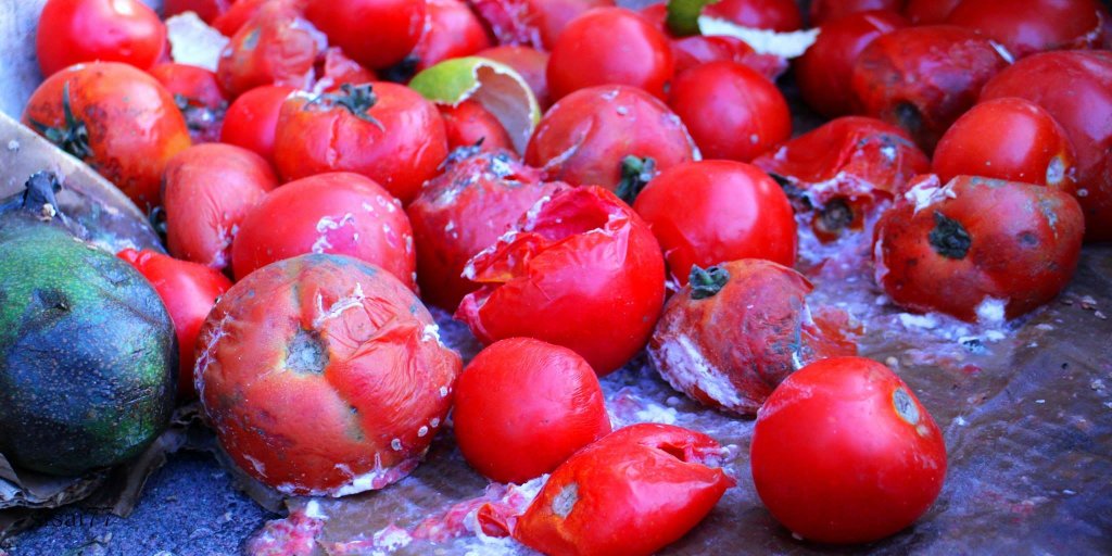 Success1278's tweet photo. Tomatoes are good for the body most especially the liver . Nevertheless, it can also be a toxin agent that can be detrimental to the liver. 
-Tomatoes contain chlorine and sulfur and excess of these chemicals can cause harm

Read More👇 https://t.co/TiagdgePqU
