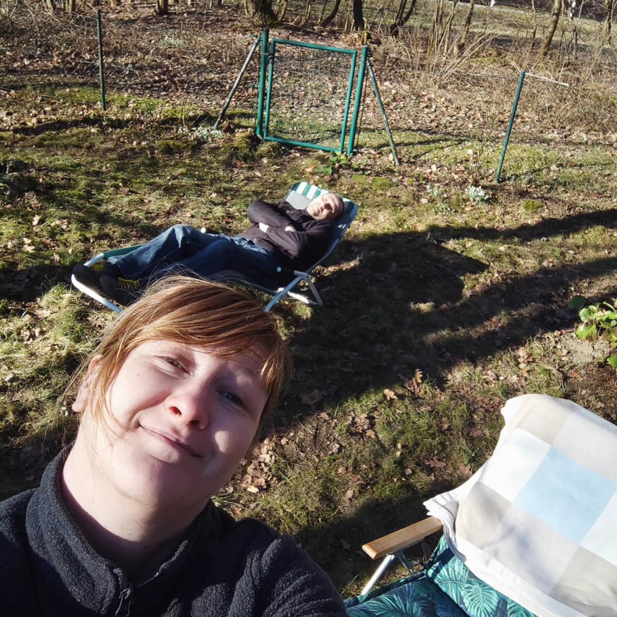 Katrin_und_Meer's tweet photo. Frühling im Garten ☀️🥰 #spring #crocuses #sunshine https://t.co/dq2UvgmYA5