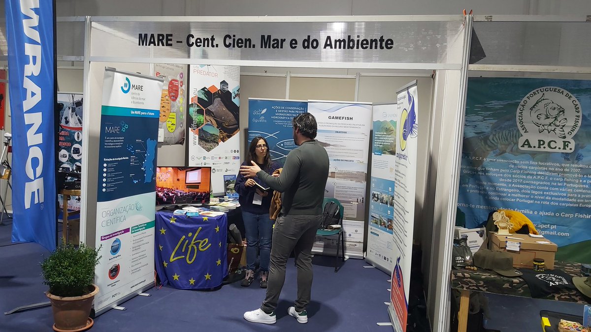 Carlos M. Alexandre (@carlosmalexand) on Twitter photo Another year, another MARE presence at the biggest sports fishing event in Portugal! Three days of interesting knowledge exchange between scientists and anglers!
<a href="/MAREscience/">MARE</a> <a href="/univdeevora/">Universidade Évora</a> <a href="/FishInvasionLab/">Fish Invasions Lab</a> #FBCMLab Another year, another MARE presence at the biggest sports fishing event in Portugal! Three days of interesting knowledge exchange between scientists and anglers!
<a href="/MAREscience/">MARE</a> <a href="/univdeevora/">Universidade Évora</a> <a href="/FishInvasionLab/">Fish Invasions Lab</a> #FBCMLab