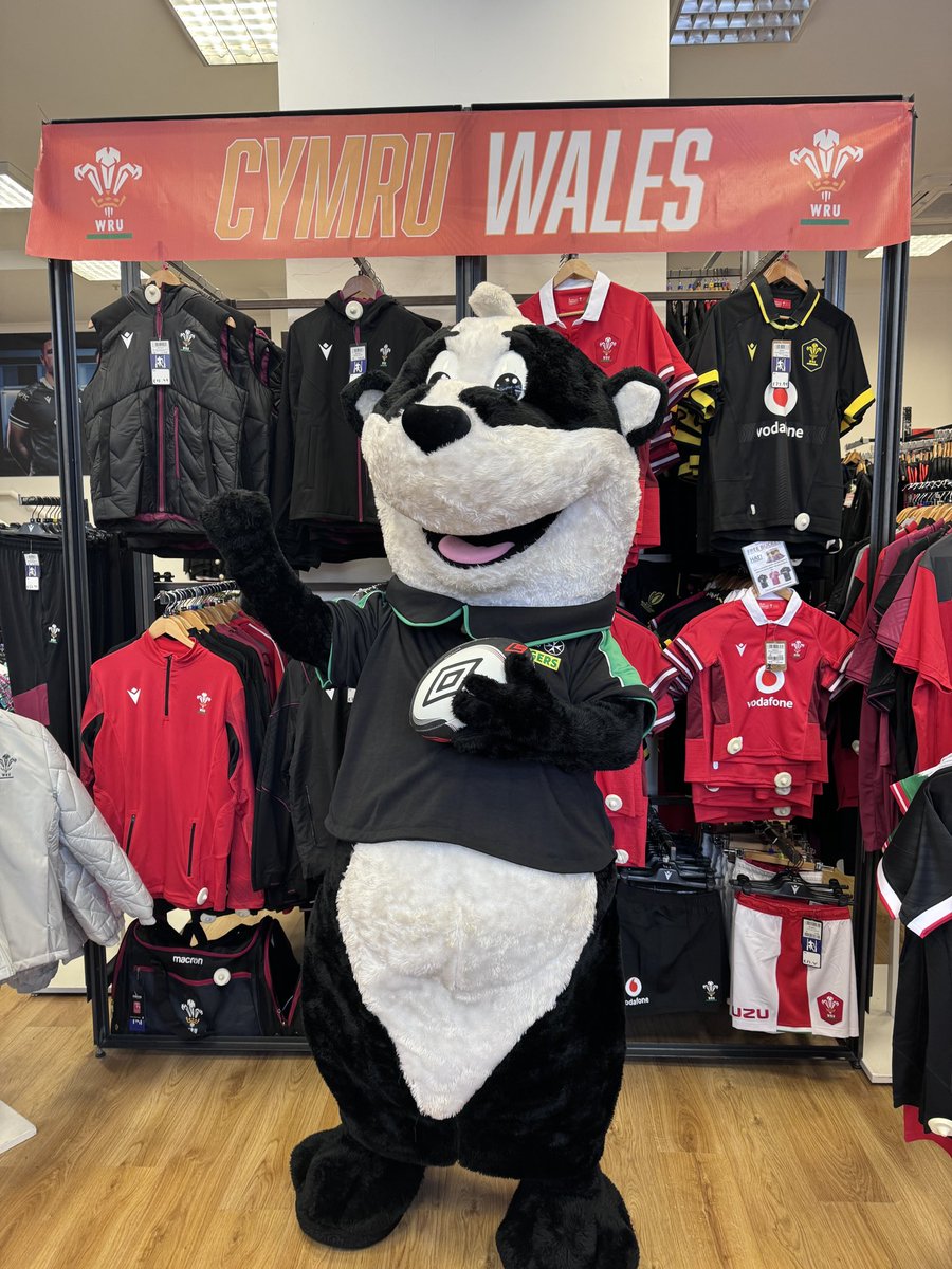Great day for us at @QuadrantSwansea promoting what we do and providing CPR demonstrations. Bertie took a moment to wish the Wales team well too. Keep an eye out for more on #BertiesDayInSwansea over the coming days. #CommunityEngagement #OurSJACday #BertiesSJACday