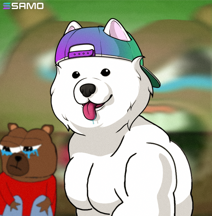 samoyedcoin's tweet photo. 69 retweets and i punch a hole through his head https://t.co/AZDEQKHlIq