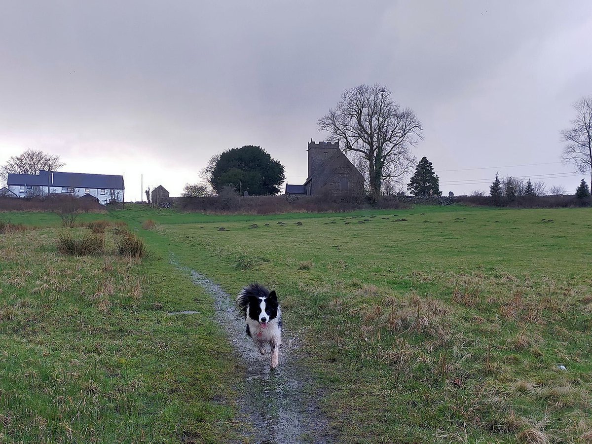 KittenFerocious's tweet photo. Wet & muddy February adventures in #Abertridwr π #BorderCollie #Welshcountryside #dogslife #bordercollielife https://t.co/SHoYK30krg