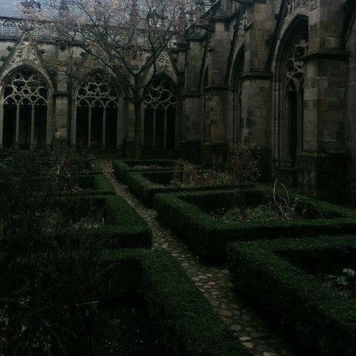 salt (@ancilladominii) on Twitter photo 