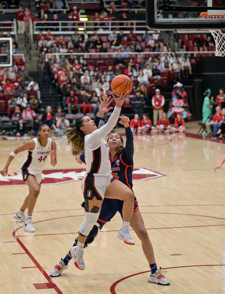 Fausto Ibarra tweet media