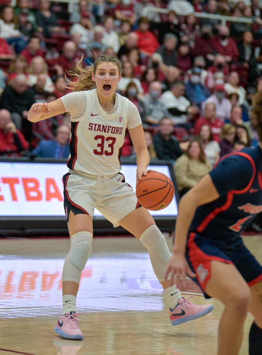 Fausto Ibarra tweet media