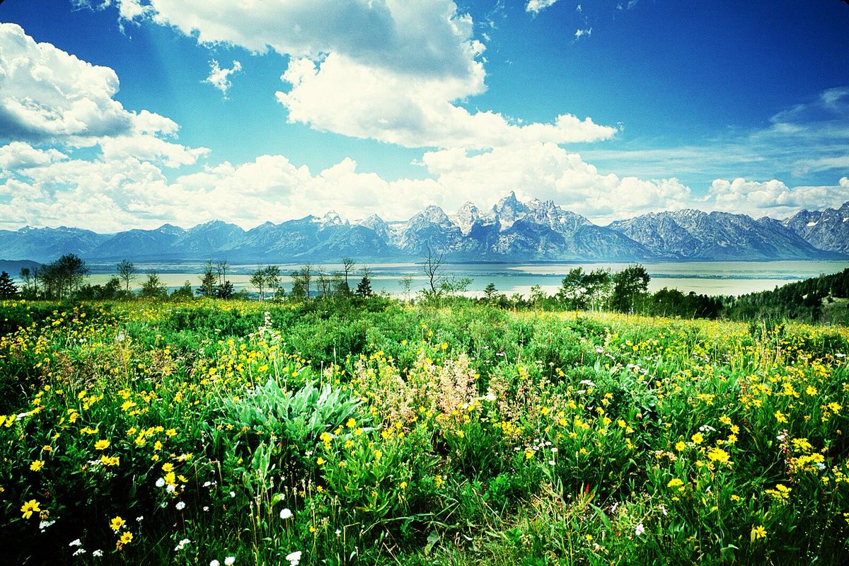 PHOTO: Spring on my mind