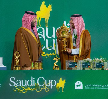 الصورة