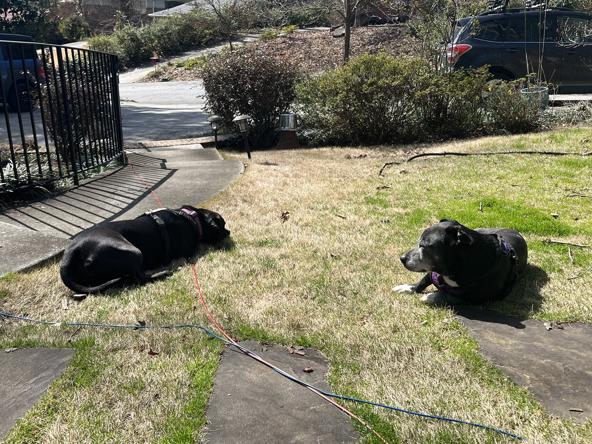 Thomas Benefield tweet media