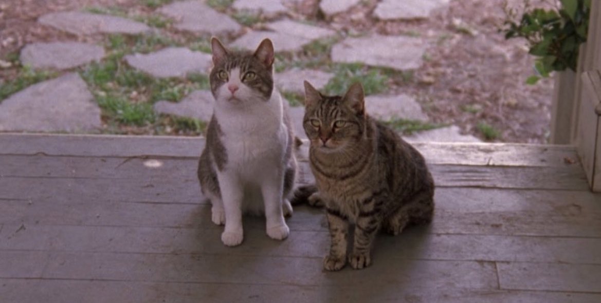 ggsnocontext's tweet photo. https://t.co/OsgMFKEUGm