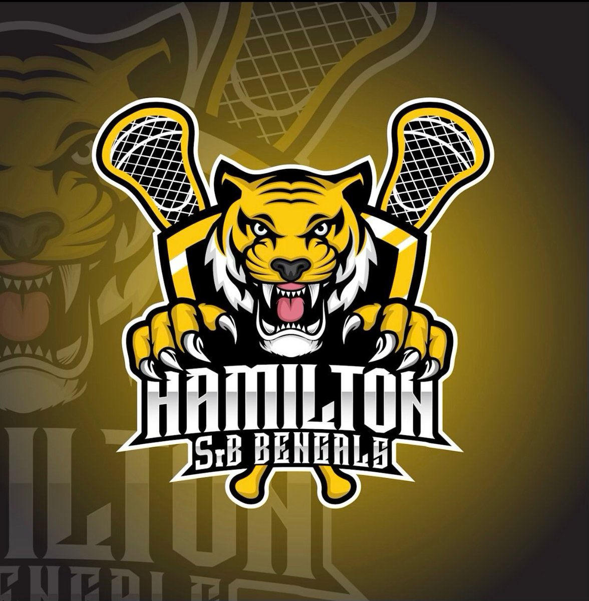 Hamilton Lacrosse tweet media