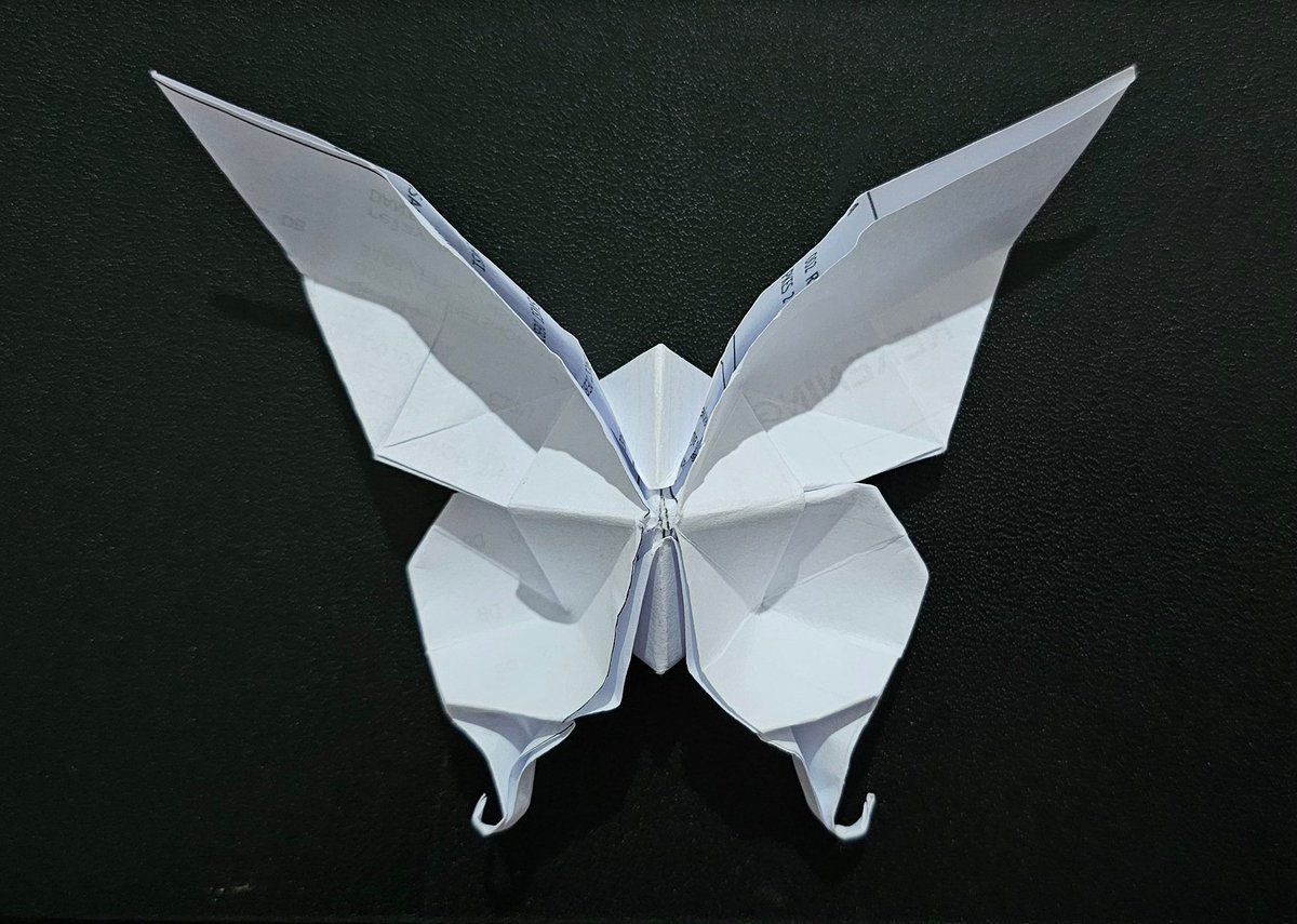 WinterLove2H's tweet photo. @awkwardgoogle I had to make a square out of A4 paper and look for the slow version tutorial on yt 😅 but you got me interested in origami .. so, thank you 😊
#paperbutterfly
#origami https://t.co/ow4GOac8lY