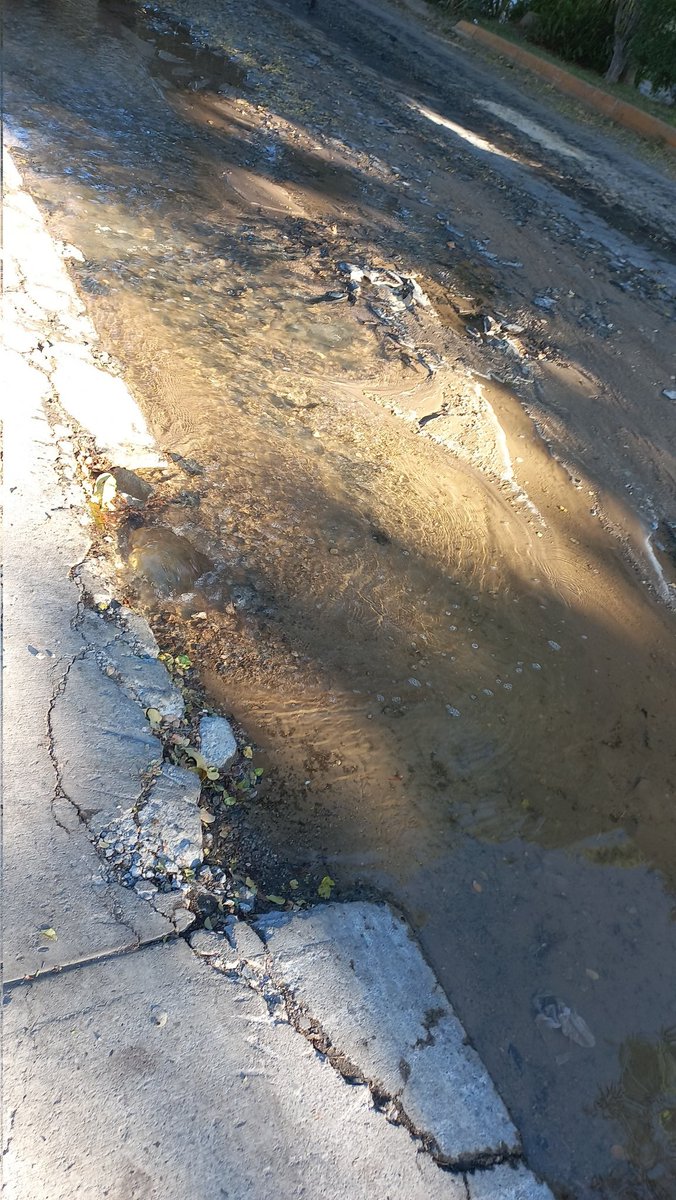 Rodrigo36457293's tweet photo. @siapagdl @Trafico_ZMG fuga de agua en Calzada Cipreces y Circunvalación Poniente Ciudad Granja, Zapopan https://t.co/YTwPkbwdxy