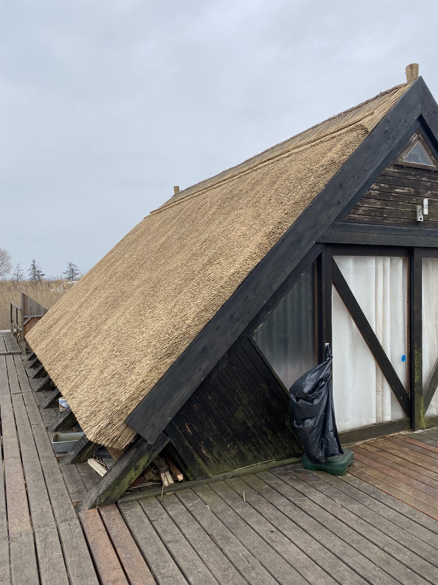I haven't posted anything about my private job yet, but my company is constructing thatched roofs. The season just started last week. A bit too green for F1, but I love it.