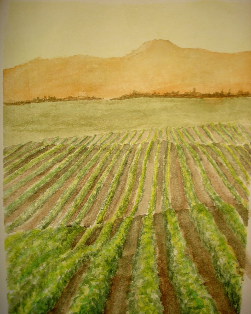 ADysidro1's tweet photo. #watercolour https://t.co/IeA6TxG5Jk