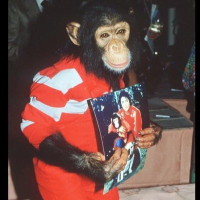 DasChrisForeYou's tweet photo. #NewProfilePic https://t.co/uNbjScjmdQ