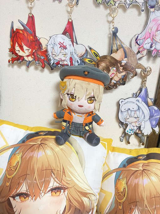 大阪のショップならあるかと思って、日本橋をぶらついたらゲマズで見つけた٩( ˙꒳​˙  )วウェイウェイ
アニスぬいをついに手に入れたヾ(o'∀`o)ノワァーィ♪ 