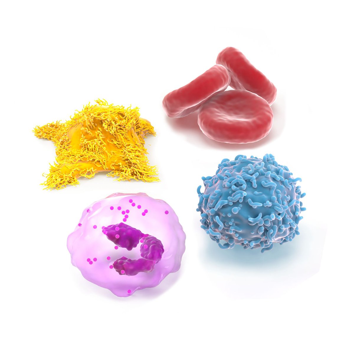 Medillustrates's tweet image. We are proud to introduce Quaint, a fantastic new medical illustration and animation studio!

Explore Quaint's portfolio: buff.ly/48n5KKl 

#quaint #visualstorytelling #medicalillustration #medicalvisualization #medicalanimation #rendering #3Danimation #community #sciart