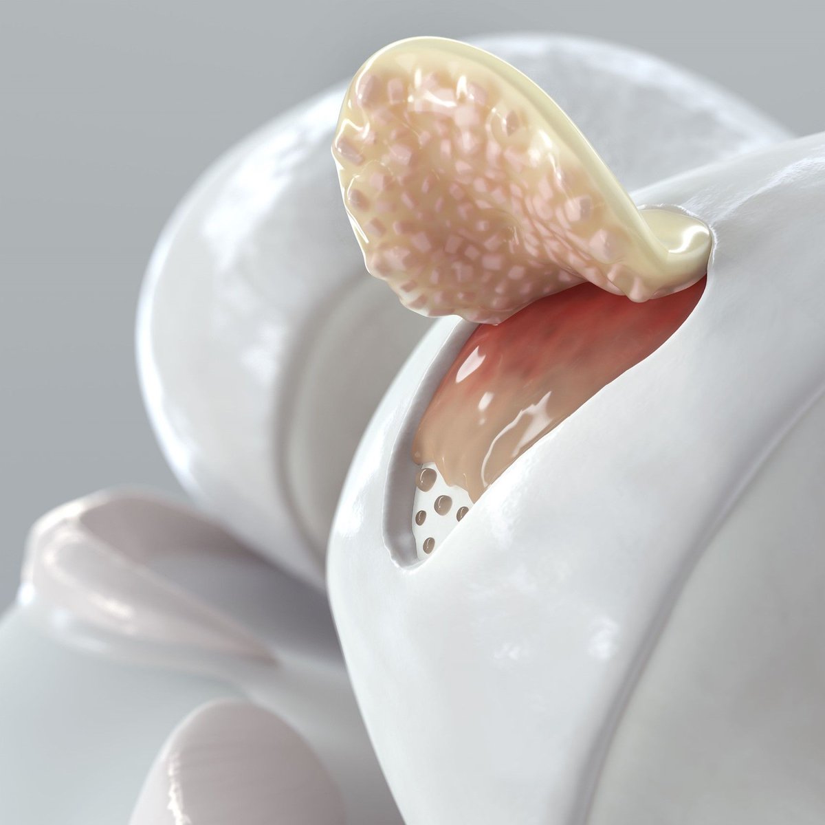 Medillustrates's tweet image. We are proud to introduce Quaint, a fantastic new medical illustration and animation studio!

Explore Quaint's portfolio: buff.ly/48n5KKl 

#quaint #visualstorytelling #medicalillustration #medicalvisualization #medicalanimation #rendering #3Danimation #community #sciart