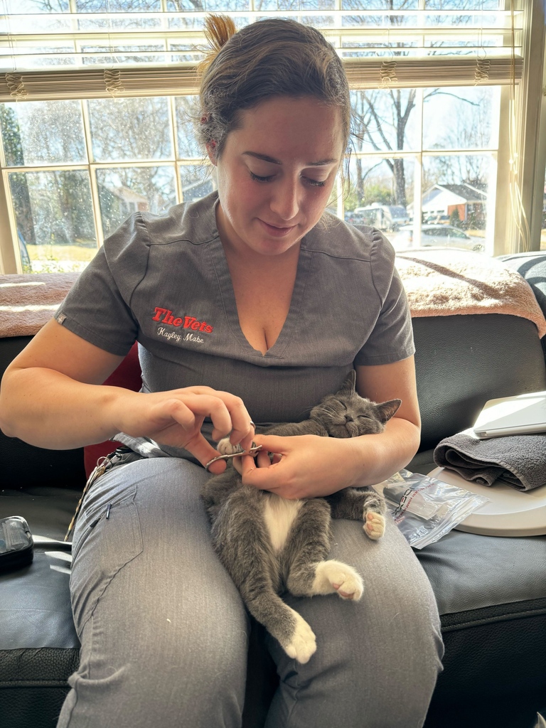 Have you ever seen a cat so calm during a nail trim? 💅🐈️