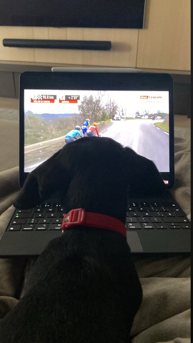 Fan n° 1