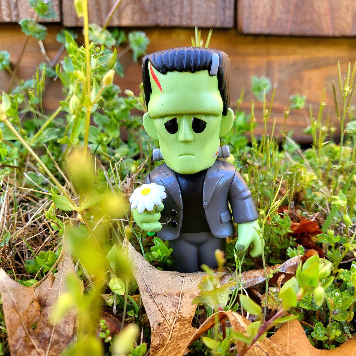 Time to start the yard work again. Yay? 

#funkoSoda #FunkoSodaSaturday
#funkophotography #funkopopcollection #funkopopcollector #funkoFunatic #funkofantic #fotw #FunkoFamily #funko @originalfunko #myfunkostory