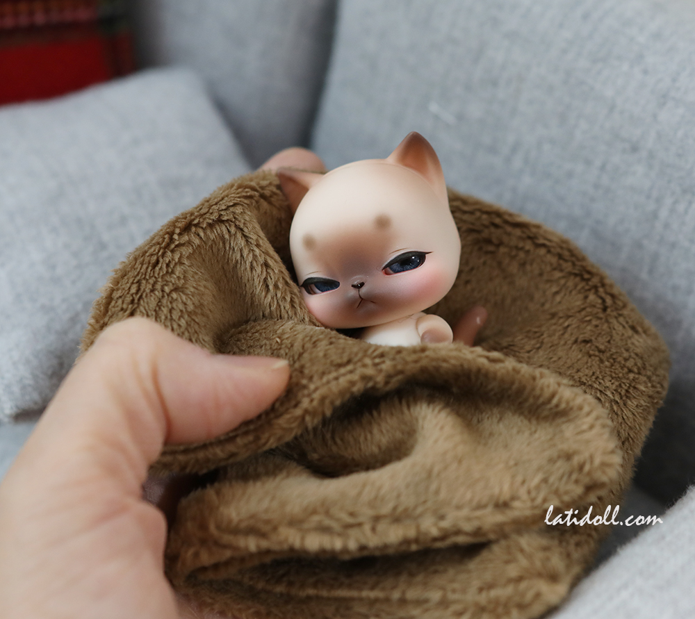 Latidoll_'s tweet photo. 'The Lati school ver, Ella/Mia, Siam ver. Mew/M.Mew'
Now sales open~!
-> https://t.co/Epa5D0GMAY
#dollwander2024 #bjdevent #bjdthailand #bjd #latidoll
#latipet #latiyellow #라티돌 #구체관절인형 #라티펫 #포켓구관 https://t.co/ukhAdn0Ms0