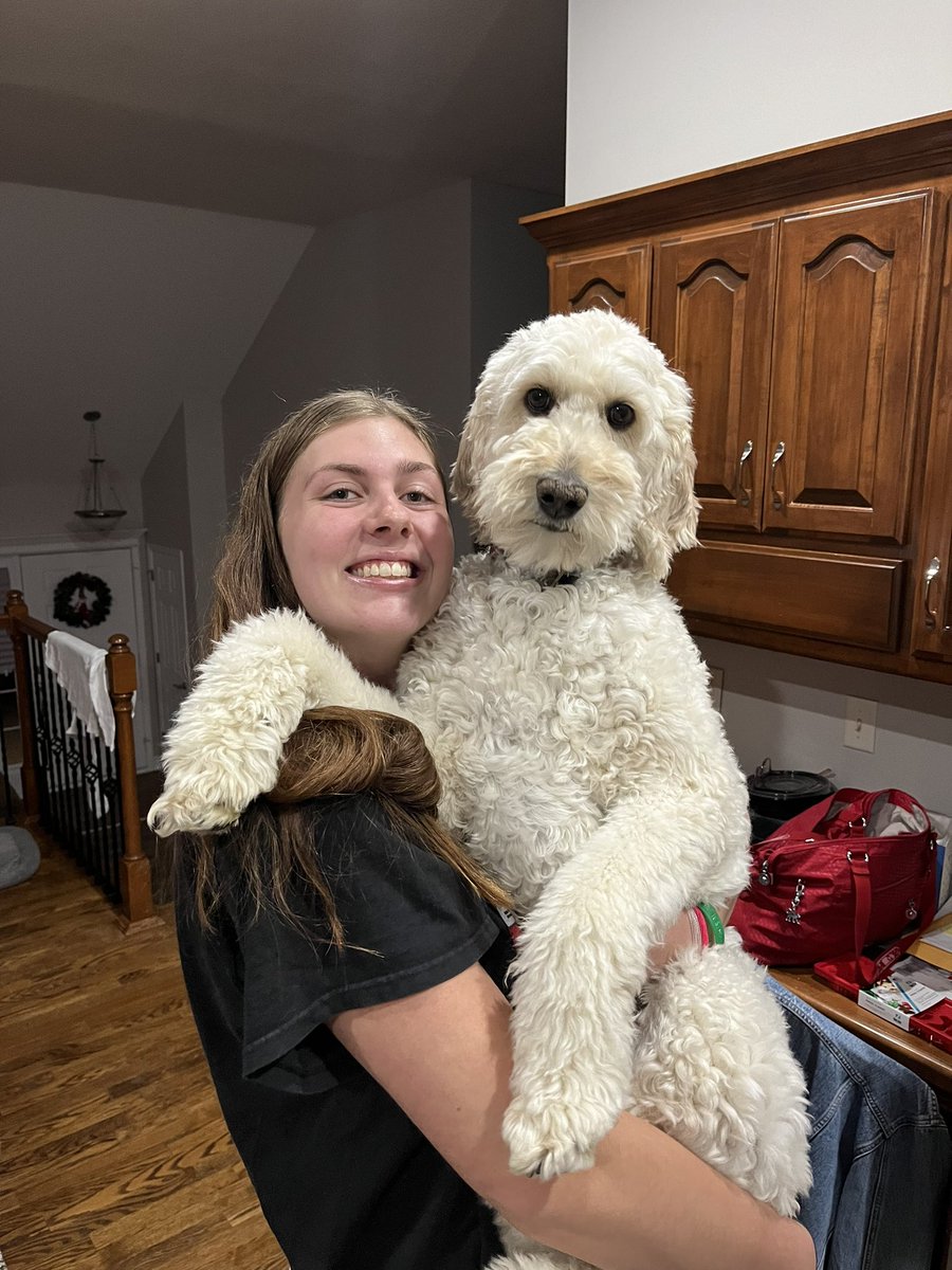 Michael Corf tweet media