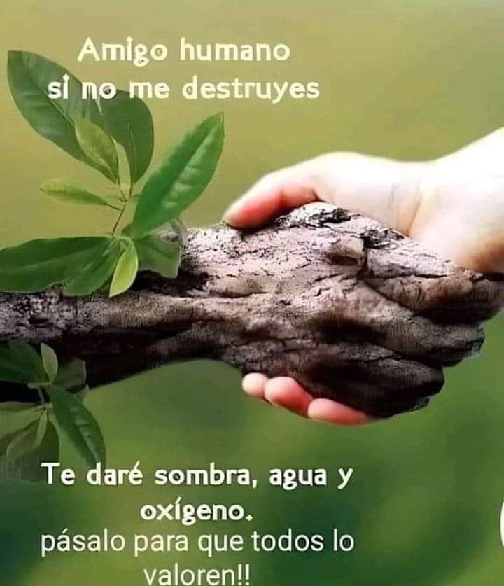 Cuidemos #NuestroPlaneta: Siembra arboles. 
Cuida las áreas verdes de tu comunidad.