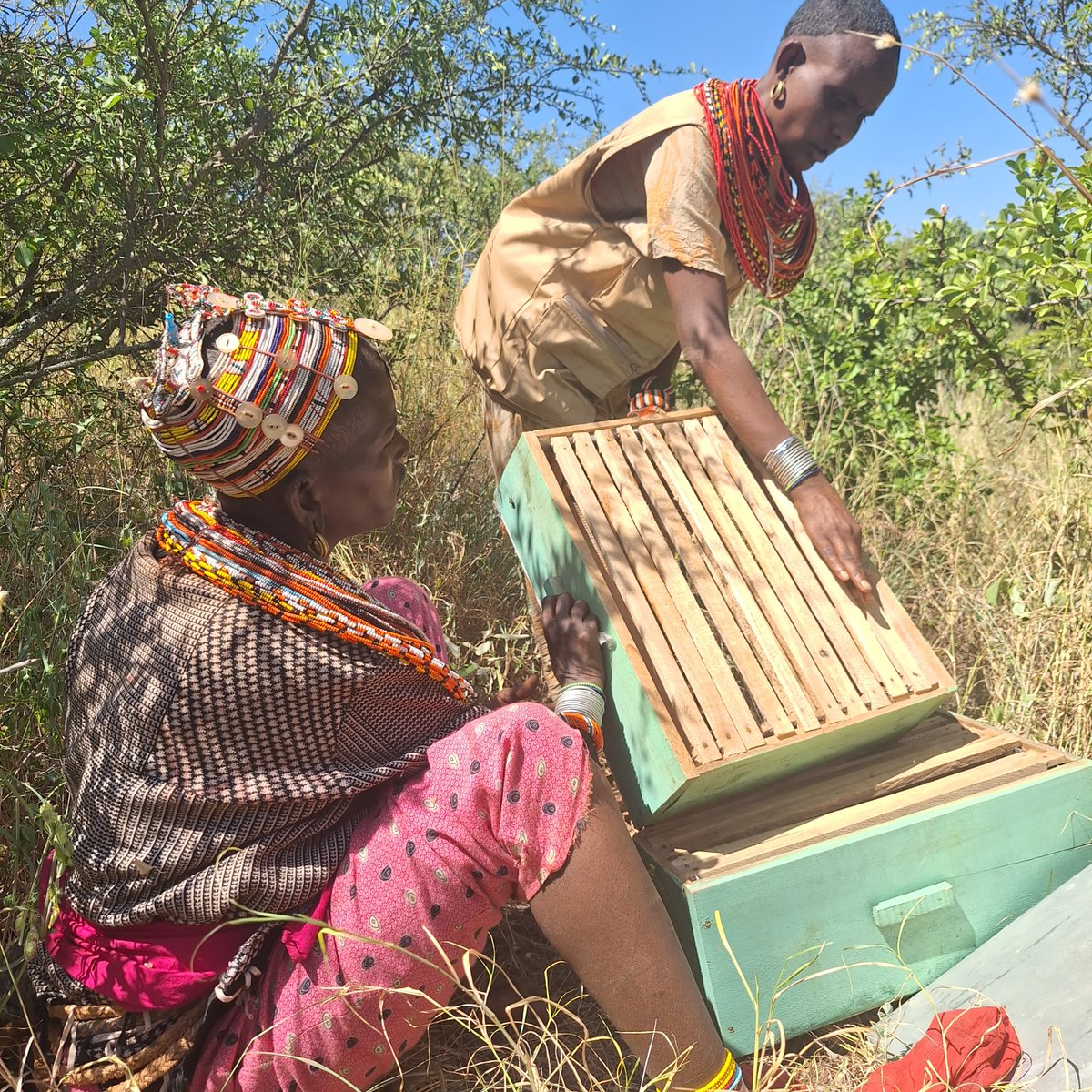 Nature and People as One (NAPO) tweet media